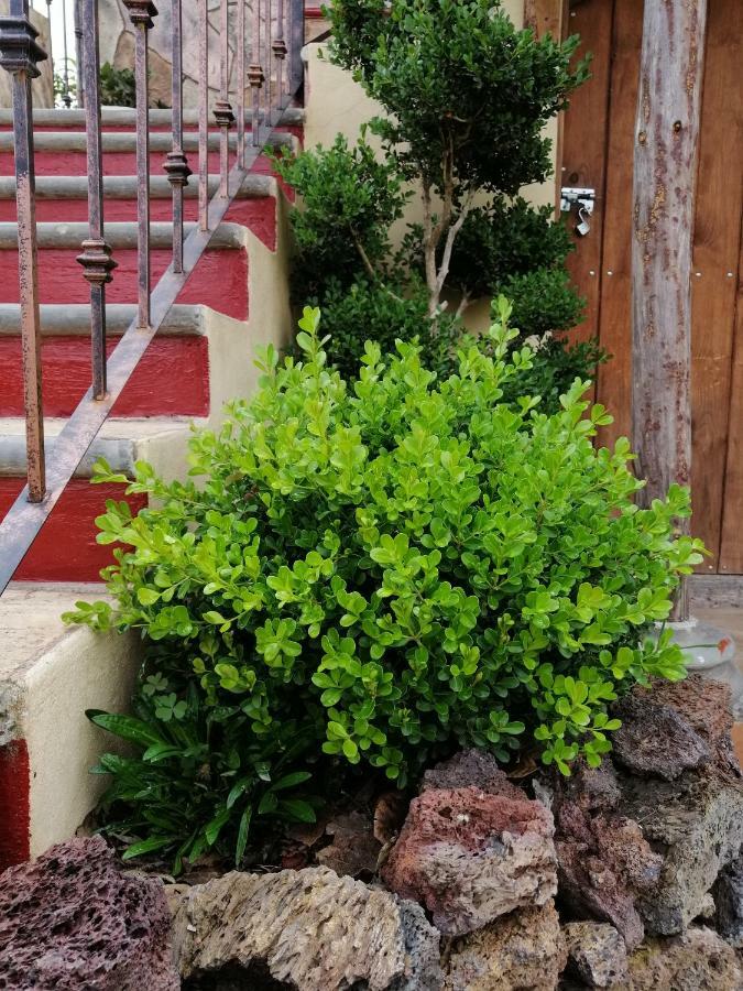Hotel Posada El Camino Chignahuapan Kültér fotó